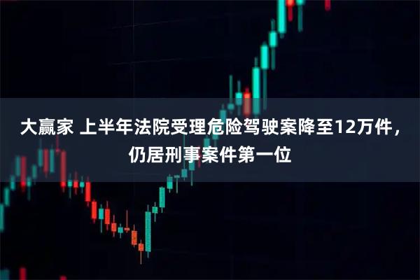 大赢家 上半年法院受理危险驾驶案降至12万件，仍居刑事案件第一位