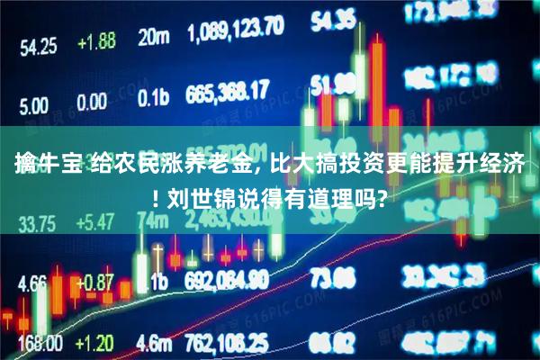 擒牛宝 给农民涨养老金, 比大搞投资更能提升经济! 刘世锦说得有道理吗?
