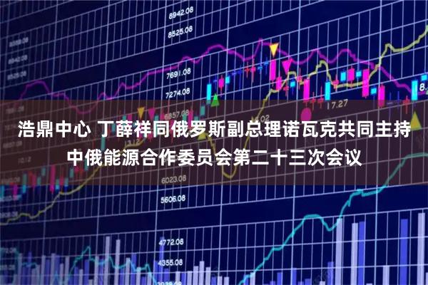浩鼎中心 丁薛祥同俄罗斯副总理诺瓦克共同主持中俄能源合作委员会第二十三次会议